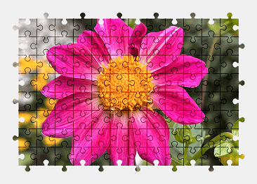 Jigsaw puzzle online flower,nature,colorful