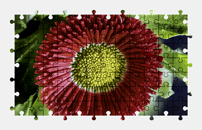 Jigsaw puzzle online flower,nature,plant