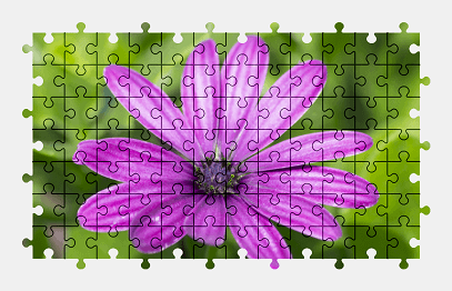Jigsaw puzzle online purple,flower,nature,colorful