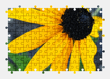 Jigsaw puzzle online yellow,flower,nature,colorful