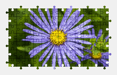 Jigsaw puzzle online purple,flower,bloom,blossom,nature,colorful