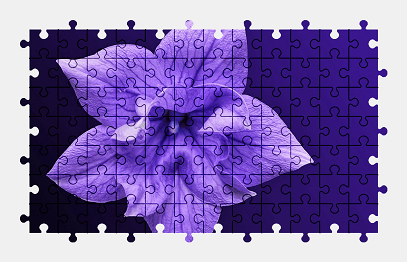 Jigsaw puzzle online flower,blossom,bloom,nature