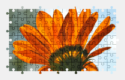 Jigsaw puzzle online orange,flower,nature,colorful