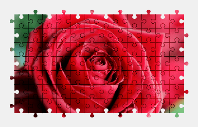 Jigsaw puzzle online red,rose,flower,blossom,bloom,nature,colorful