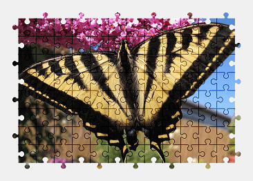 Jigsaw puzzle online butterfly,animal,flower,nature,colorful