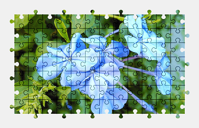Jigsaw puzzle online flower,nature,colorful