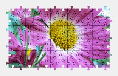 Jigsaw puzzle online flower,daisy,nature,blossom
