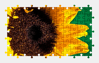 Jigsaw puzzle online yellow,flower,nature,summer,colorful