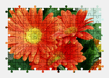 Jigsaw puzzle online orange,gerbera,flower,nature,colorful