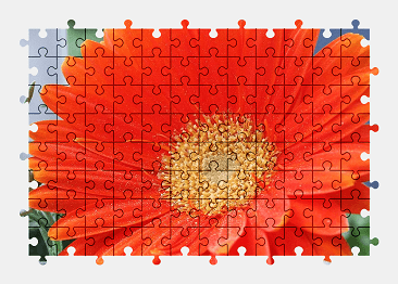 Jigsaw puzzle online red,gerbera,flower,nature