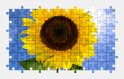 Jigsaw puzzle online sunflower,flower,nature,plant,colorful