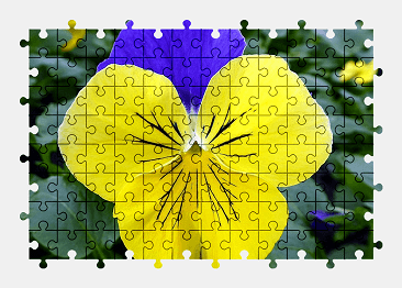 Jigsaw puzzle online yellow,blue,flower,nature,colorful