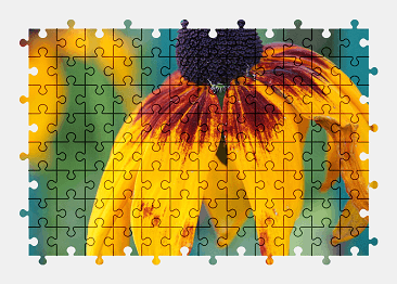 Jigsaw puzzle online yellow,flower,nature,colorful