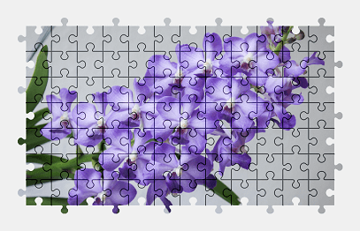 Jigsaw puzzle online orchid,flower,nature,colorful