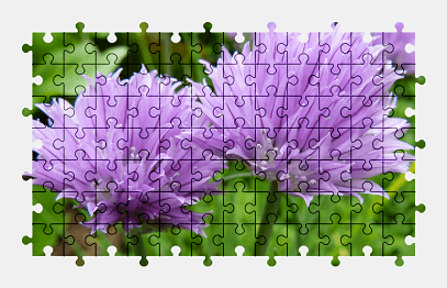 Jigsaw puzzle online flower,nature,plant