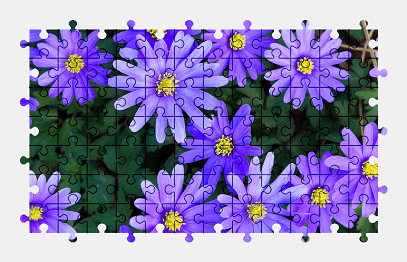 Jigsaw puzzle online flower,nature,colorful
