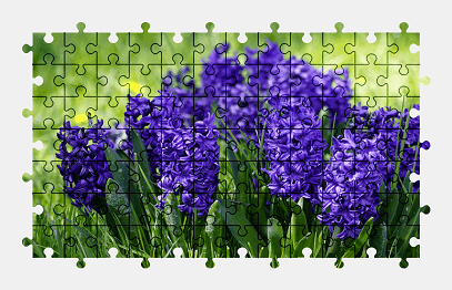 Jigsaw puzzle online flower,colorful,nature