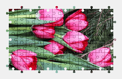 Jigsaw puzzle online pink,tulip,flower,spring,nature,colorful