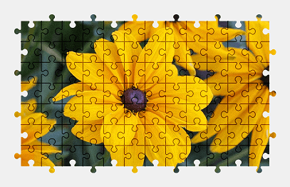 Jigsaw puzzle online yellow,flower,nature