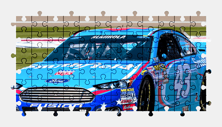 Jigsaw puzzle online ford,nascar,race,sports-car,car,vehicle,colorful,sport