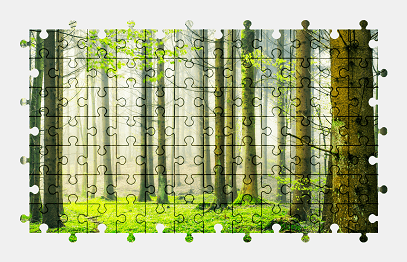 Jigsaw puzzle online forest,nature,tree,colorful