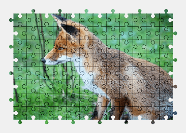 Jigsaw puzzle online fox,animal,wild,wildlife,nature