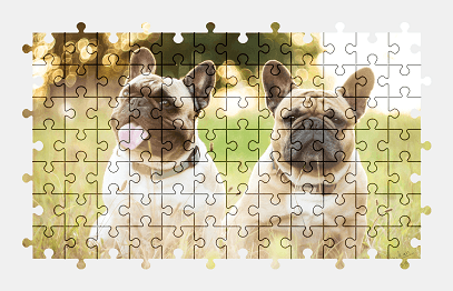 Jigsaw puzzle online bulldog,dog,animal,colorful,nature