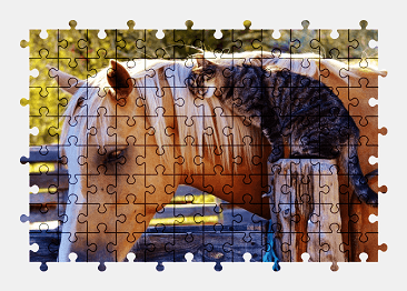 Jigsaw puzzle online animal,horse,cat,colorful,nature