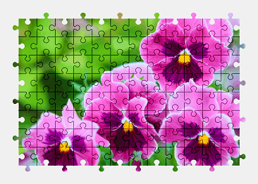 Jigsaw puzzle online garden,flower,nature,colorful