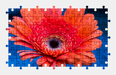 Jigsaw puzzle online gerbera,flower,colorful