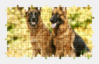 Jigsaw puzzle online german-shepherd,dog,animal,colorful