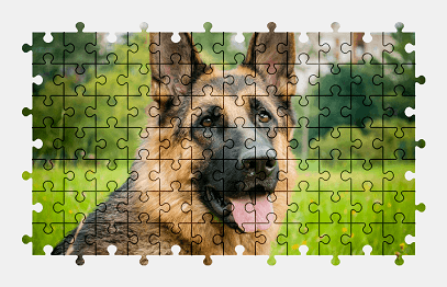 Jigsaw puzzle online german-shepherd,dog,animal,colorful