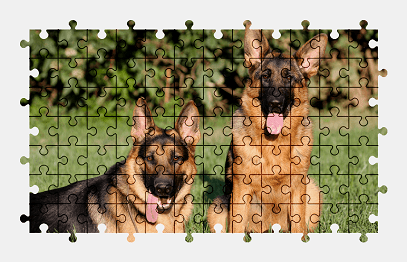 Jigsaw puzzle online german-shepherd,dog,animal,colorful
