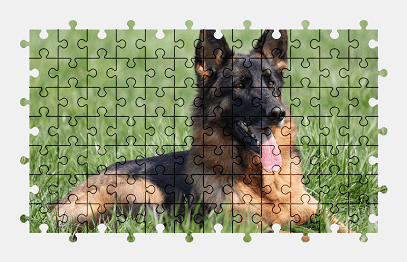 Jigsaw puzzle online german-shepherd,dog,animal