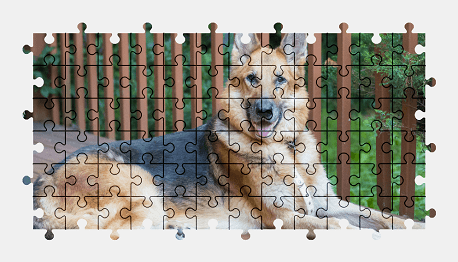 Jigsaw puzzle online german-shepherd,animal,dog,colorful
