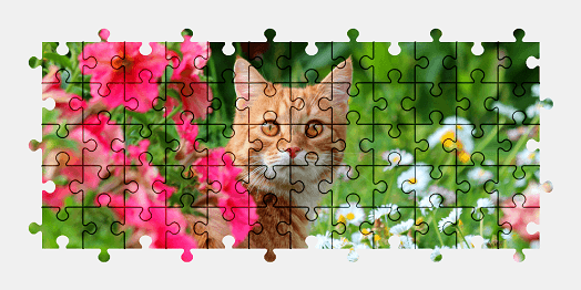 Jigsaw puzzle online cat,animal,flower,nature,colorful