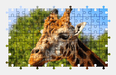 Jigsaw puzzle online giraffe,animal,colorful