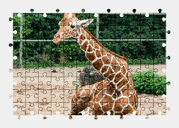 Jigsaw puzzle online giraffe,animal,colorful