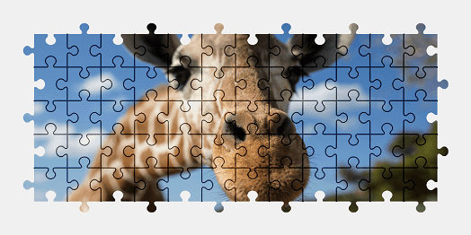 Jigsaw puzzle online giraffe,animal,nature
