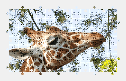 Jigsaw puzzle online giraffe,animal,zoo,africa