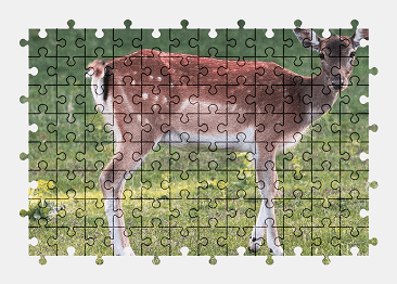 Jigsaw puzzle online deer,nature,animal