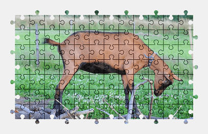 Jigsaw puzzle online goat,animal,farm,nature