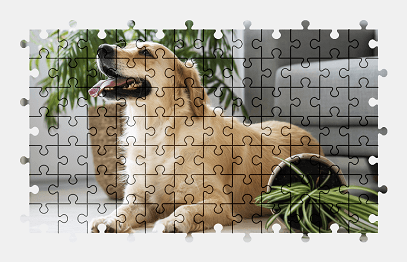 Jigsaw puzzle online golden-retriever,dog,pet,colorful,animal