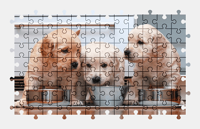 Jigsaw puzzle online golden-retriever,puppy,dog,animal,pet,colorful