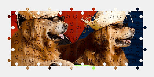 Jigsaw puzzle online golden-retriever,dog,animal