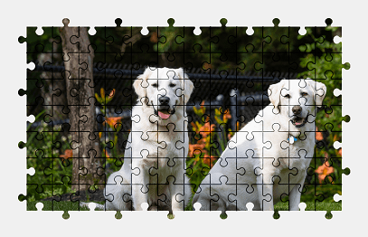 Jigsaw puzzle online golden-retriever,dog,animal,pet