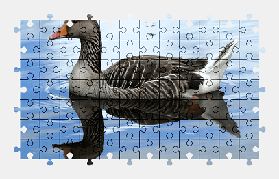 Jigsaw puzzle online goose,reflection,animal,water,nature,colorful
