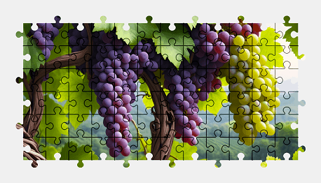 Jigsaw puzzle online grapes,fruit,food,colorful