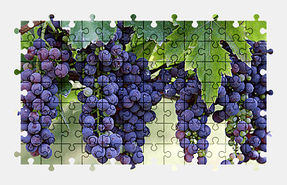 Jigsaw puzzle online grapes,fruit,food,colorful