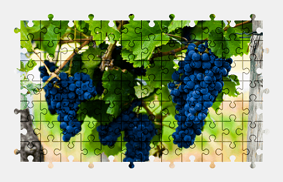 Jigsaw puzzle online grapes,fruit,food,colorful